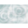 Affreschi & Affreschi | Flo | Feather | KR0502